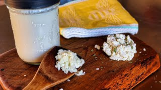 Making Kefir Yogurt amp Kefir Cheese at Home  Fermented Food of Many Uses [upl. by Atived]