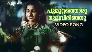 Poomuttathoru Mulla Video Song  Raarichan Enna Pauran  Santha P Nair  K Raghavan [upl. by Neoma]