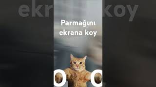 Yavaş yavaş abe heyrann🐈 [upl. by Zela]