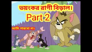 ভয়ংকর রাগী বিড়াল Part 2 Tom and Jerry Bangla [upl. by Atena]