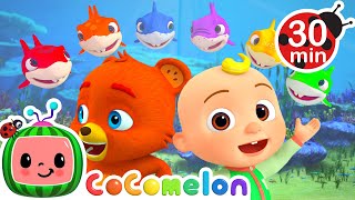 Baby Shark Colors Song  More CoComelon JJs Animal Time Kids Songs  Animal Songs for Kids [upl. by Yreva]