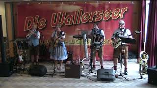 Die Wallerseer  Live Mitschnitt einer Hochzeit [upl. by Yelsha]