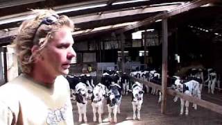 Calf Feeder CF150  DeLaval Automated Milking Solutions  DeLaval [upl. by Anivlac724]