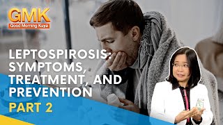 Leptospirosis Symptoms Treatment and Prevention Part 2  Usapang Pangkalusugan [upl. by Secnarf]