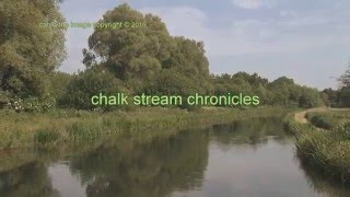 Chalk Stream Chronicles adventures with a fly rod [upl. by Hairem]