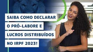 Saiba como declarar o PRÓLABORE NO IRPF 2023 [upl. by Suoirrad]