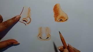 Nosecrayonsoil pastelcolour pencil workBeginner [upl. by Una]