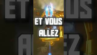 LE BUG LE PLUS ANORMAL DE ZELDA BREATH OF THE WILD [upl. by Ceevah602]