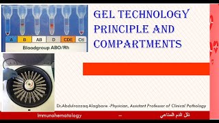 Lecture 21 Gel Technology Principle and compartments [upl. by Towrey]