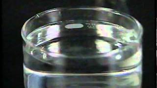 Lithium reaction with water [upl. by Ventura488]