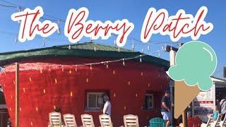 The Berry Patch in Ellerbe NC  World’s Largest Strawberry [upl. by Kitchen]