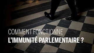 Comment fonctionne limmunité parlementaire [upl. by Jeremias327]