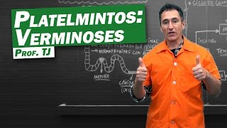 Biologia  Verminoses de Platelmintos [upl. by Sclar]