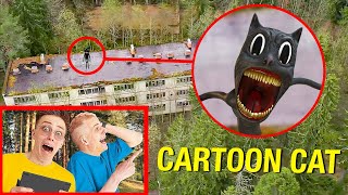 Mon DRONE a filmĆ© un CARTOON CAT NOUS LAVONS TROUVĆ‰ [upl. by Boice102]