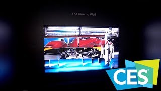 Mini LED vs Micro LED  Explained by TCL  CES 2019 [upl. by Schiffman]