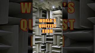 Worlds Quietest Room  4 More Interesting Facts [upl. by Guimond557]