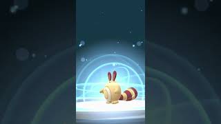 Evolving SHINY ✨ Sentret to Furret  Pokémon GO Shiny Evolution [upl. by Rofotsirk50]