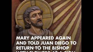 The Story of St Juan Diego and Our Lady of Guadalupe [upl. by Horton]