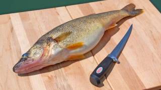 How to Fillet Fish  Freshwater [upl. by Salvucci195]