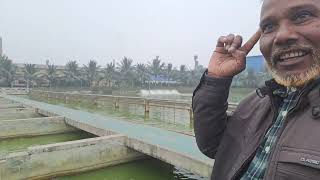 আধুনিক পদ্ধতিতে মাছ চাষ  IPRS fish farming system Chapai nobabjangu bigmoneySM [upl. by Mendes743]