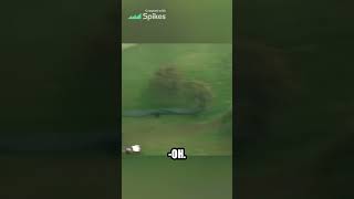 Tiger Woodss Gutsy Six Iron Shot Does it Get Any Better [upl. by Jael]