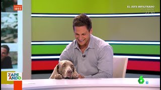 La perrita de Gotzon Mantuliz entra en directo en plató para estar con él [upl. by Anemij932]