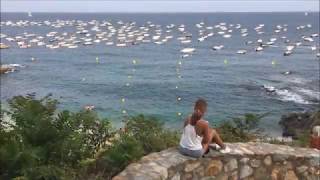 Calella de Palafrugell  Costa Brava  Agost 2017 [upl. by Aerdnaed]