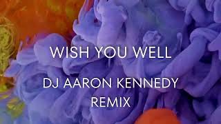 Wish You Well  Sigala Becky Hill Dj Aaron Kennedy Remix [upl. by Ninnette]