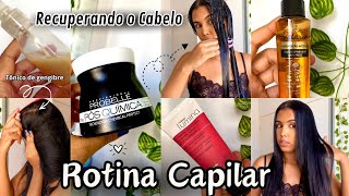 ROTINA CAPILAR PARA CABELOS QUIMICAMENTE TRATADOS💆🏽‍♀️✨ PÓS QUÍMICA PROBELLE [upl. by Plunkett]