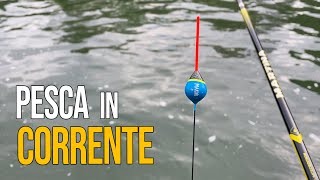 Pesca Bolognese  Una pescata Divertente in CORRENTE con i BIGATTINI INCOLLATI [upl. by Xeno891]