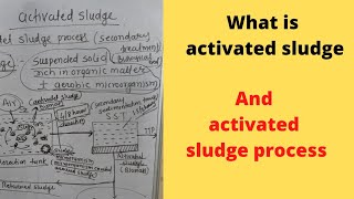 what is activated sludge and activated sludge processactivated sludge processactivated sludge [upl. by Onra825]