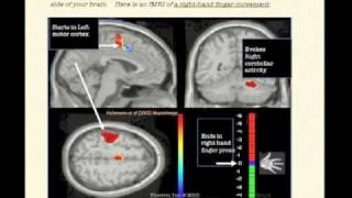 COGNITIVE NEUROSCIENCE Your Brain in 15 Minutes Part 1 of 2 [upl. by Gardie]