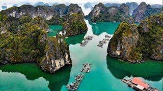 Vietnam  Majestic Bai Tu Long Bay in 4K Ultra HD [upl. by Akinot]