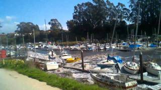 Tsunami Surge Santa Cruz Harbor 3112011  Spectator Freaks Out [upl. by Aisan]