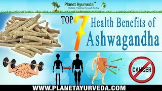 Top 7 Health Benefits of Ashwagandha Withania Somnifera  Indian Ginseng [upl. by Leeland465]