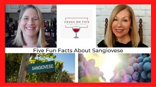 Five Fun Facts About Sangiovese [upl. by Sivrahc]