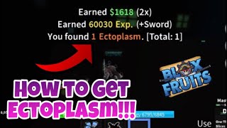 How to Get ECTOPLASM in Blox Fruits Update 12 [upl. by Aitenev889]