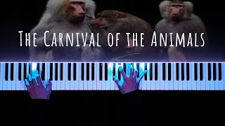 SaintSaëns  The Carnival of the Animals Le carnaval des animaux [upl. by Sverre]