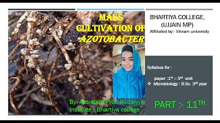 mass cultivation of azotobacter [upl. by Amre520]