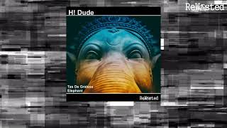 H Dude  Elephant Rewasted Techno  Hard Techno  Acid [upl. by Capello]