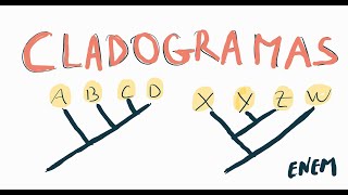 CLADOGRAMAS NO ENEM [upl. by Anchie864]