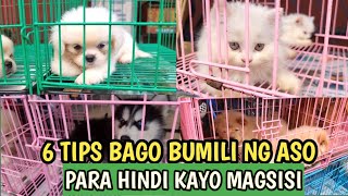 MURANG BILIHAN NG MGA ASO AT PUSA SA ARRANQUE PET MARKET [upl. by Assiralk757]