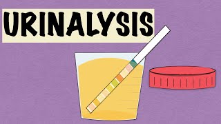 URINALYSIS [upl. by Giff]