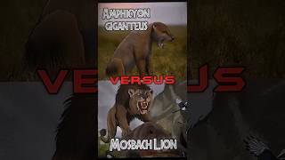 Mosbach Lion VS Amphicyon edit 1v1 prehistoricanimals [upl. by Wolfort]