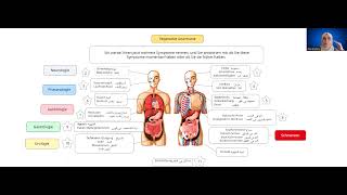 Fachsprachprüfung Anamnese 5Vegetative Anamnese ملخص ل كورس تأهيل امتحان اللغه الطبيه بألمانيا [upl. by Toomin598]