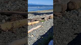 Tide coming in at Seacrest Beach in Qualicum Beach  3 hours in 2 minutes wwwwinterphoto2006com [upl. by Rednazxela]