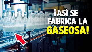 ¿Cómo Se Fabrica La Soda¿Cómo Se Hace La Gaseosa Proceso En Fábrica [upl. by Porche]