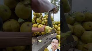 Pengupas buah lontar fruit amazingcutting satisfying coconut [upl. by Koosis]