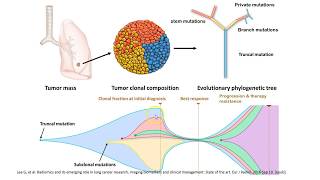 Multiparametric Imaging of Tumor Biology [upl. by Nala]