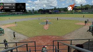 Bucaneros vs Tigres Torneo Williamsport 2024 [upl. by Oirram519]